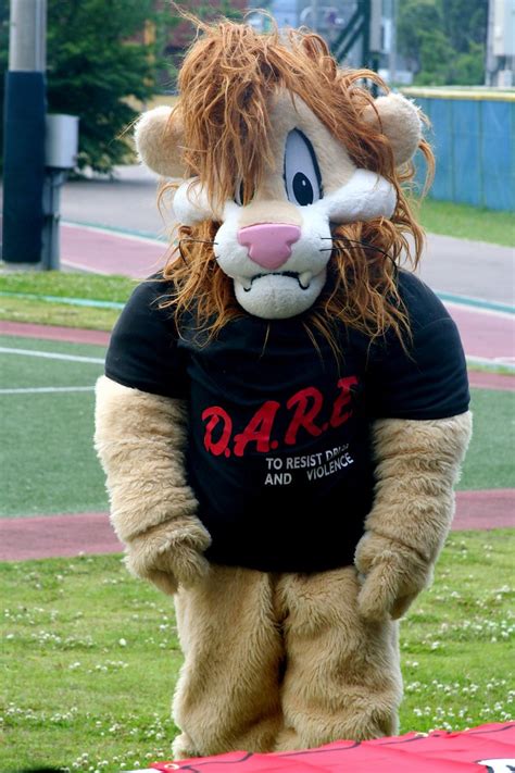 The Dare Mascot Dog's Secret Identity: The Person Behind the Paw